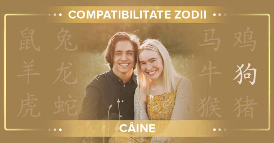 Compatibilitate Zodia Câine. Relații amoroase nebănuite în zodiacul chinezesc