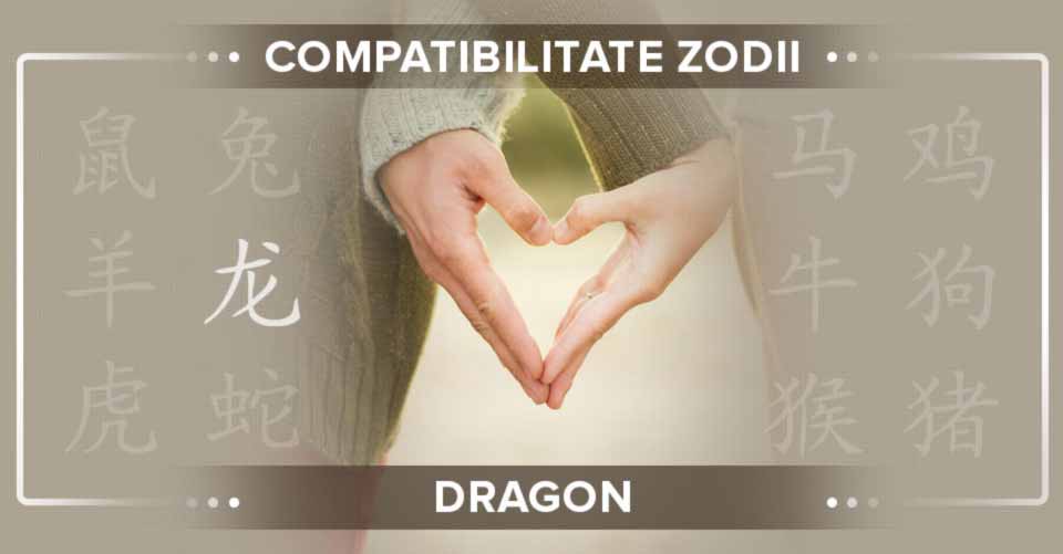 Compatibilitate zodia Dragon. Lupta pentru supremație în relații