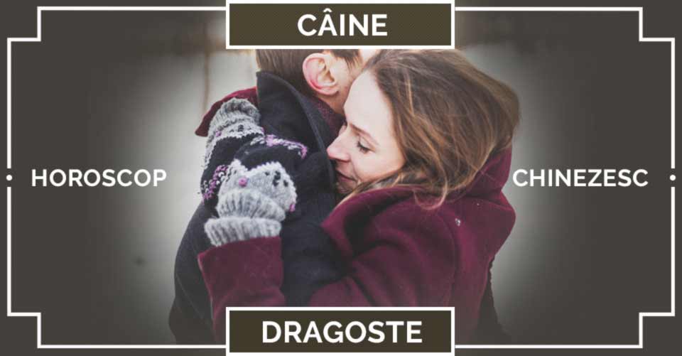 Zodiac Chinezesc Caine 2019 Horoscop Chinezesc Dragoste